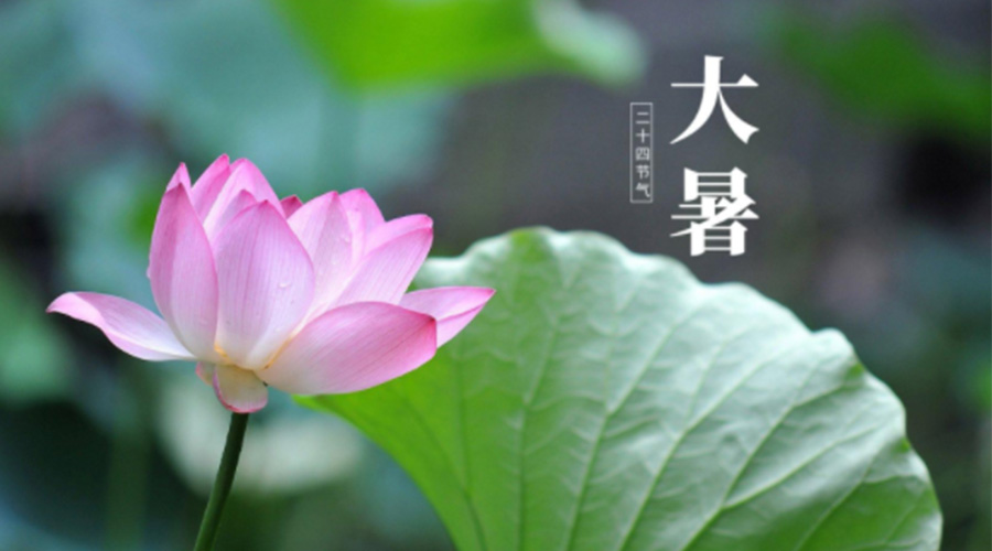 大暑時節(jié)！金環(huán)電器提醒大家注意這些干衣細(xì)節(jié)