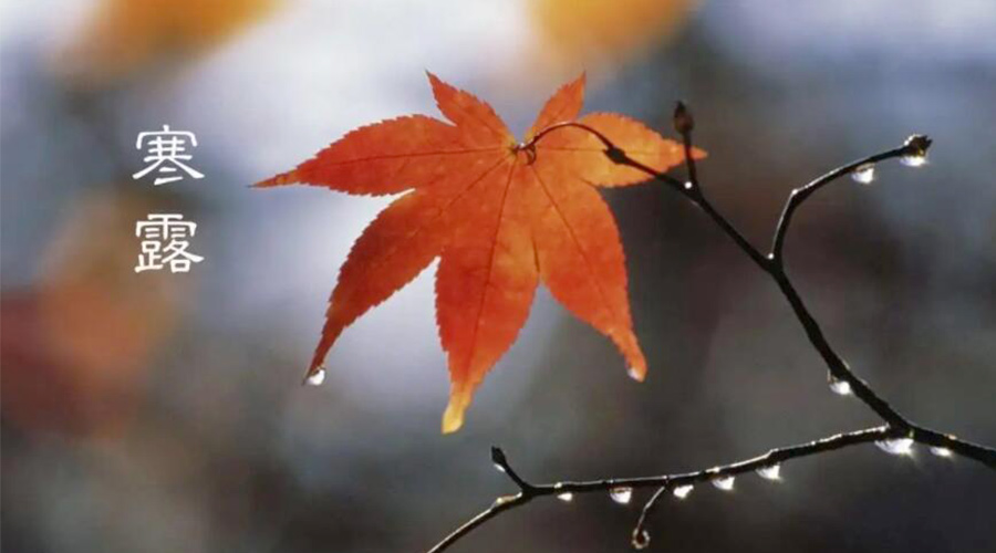 寒露時節(jié)！金環(huán)電器提醒大家要注意的事項