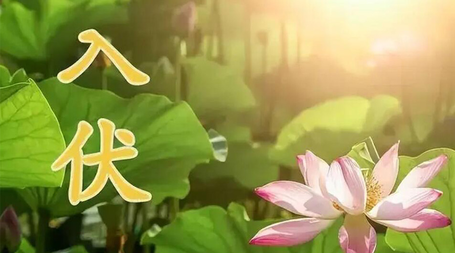 入伏天來襲！金環(huán)電器提醒大家要注意的事項