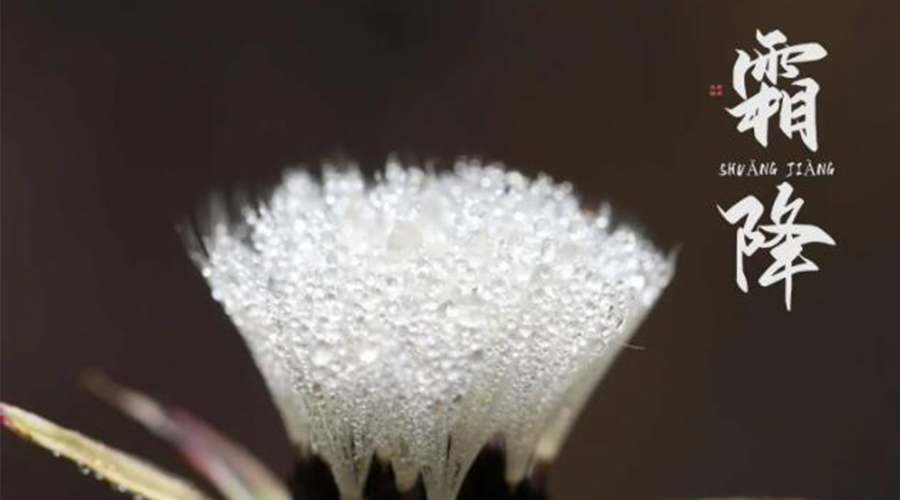 霜降時節(jié)！金環(huán)電器提醒大家要注意的事項