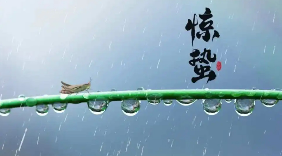 驚蟄時節(jié)！金環(huán)電器提醒大家干衣要注意這些