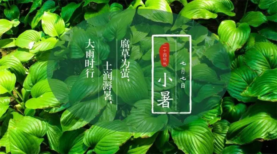 小暑時節(jié)來到！金環(huán)電器提醒大家要注意的事項