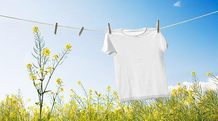 滾筒干衣機(jī)紫外線燈除菌對比太陽光除菌哪個效果更好