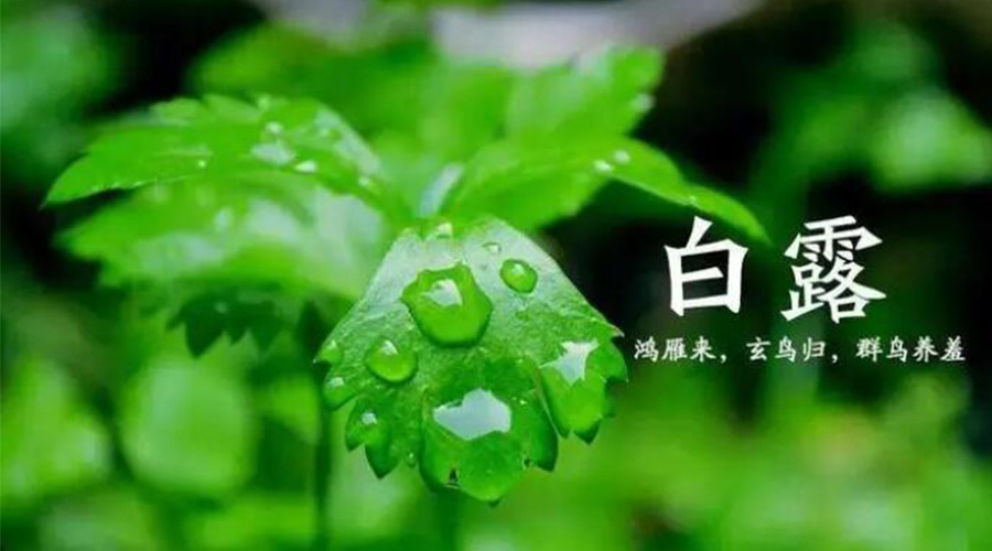 白露時(shí)節(jié)！金環(huán)電器提醒大家要注意的事項(xiàng)