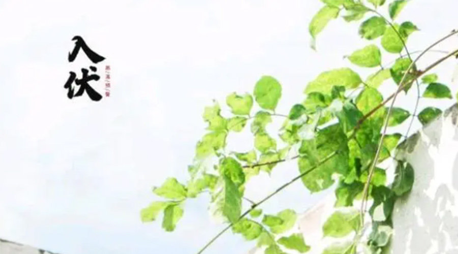 初伏時(shí)節(jié)！金環(huán)電器提醒大家要注意的事項(xiàng)