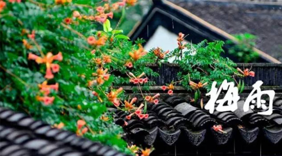 什么是梅雨？梅雨如何形成？  金環(huán)電器告訴你答案